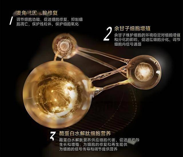 上海更多文旅场景引入“智慧大脑”