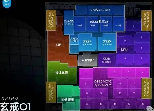技术小院解码千年莲乡致富口令
